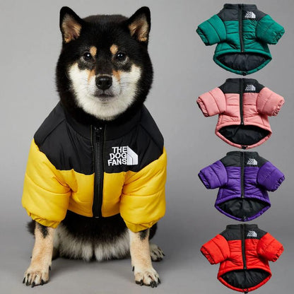 Quilted Dog Jacket with Zip Closure and Stand Collar in Multiple Colors [YQT:ULO-261029-005:f8ae181ba8e3eef6]