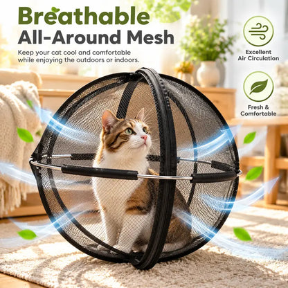 Portable Black Mesh Cat Enclosure with Spherical Pop-Up Design and Zipper Closure [YQT:ULO-261012-006:b1b7d284942c4987]