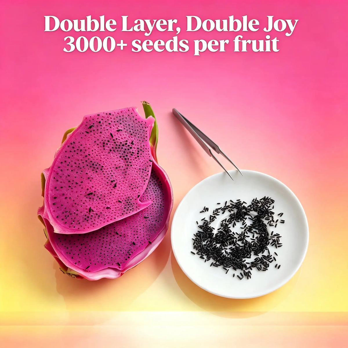 Dragon Fruit Seed Picking Fidget Toy with Metal Tweezers [YQT:ULO-260922-002:aadb473ff9d23705]