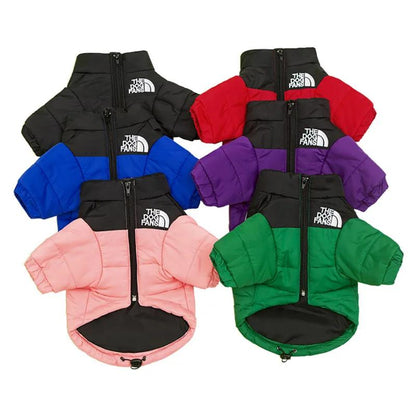 Quilted Dog Jacket with Zip Closure and Stand Collar in Multiple Colors [YQT:ULO-261029-005:fef7a13f4a84ef1a]