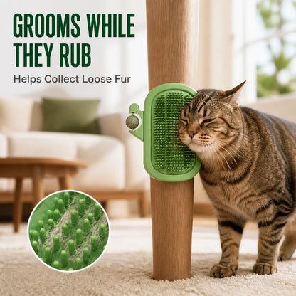 Cactus Cat Self-Grooming Brush with Catnip Ball and Feather Teaser [YQT:ULO-260921-003:78db45c64422c67e]