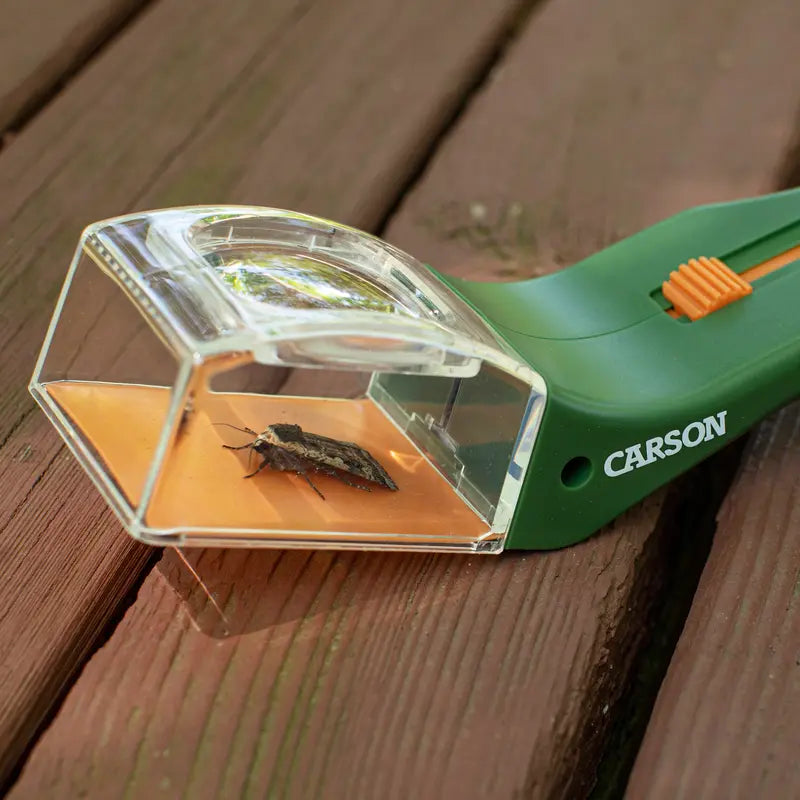 Bug Catching Tool with 5x Magnifier and Quick-Release Sliding Panel [YQT:ULO-260926-004:73a5620a5ab31324]