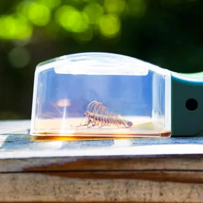Bug Catching Tool with 5x Magnifier and Quick-Release Sliding Panel [YQT:ULO-260926-004:a6394eea42561f84]