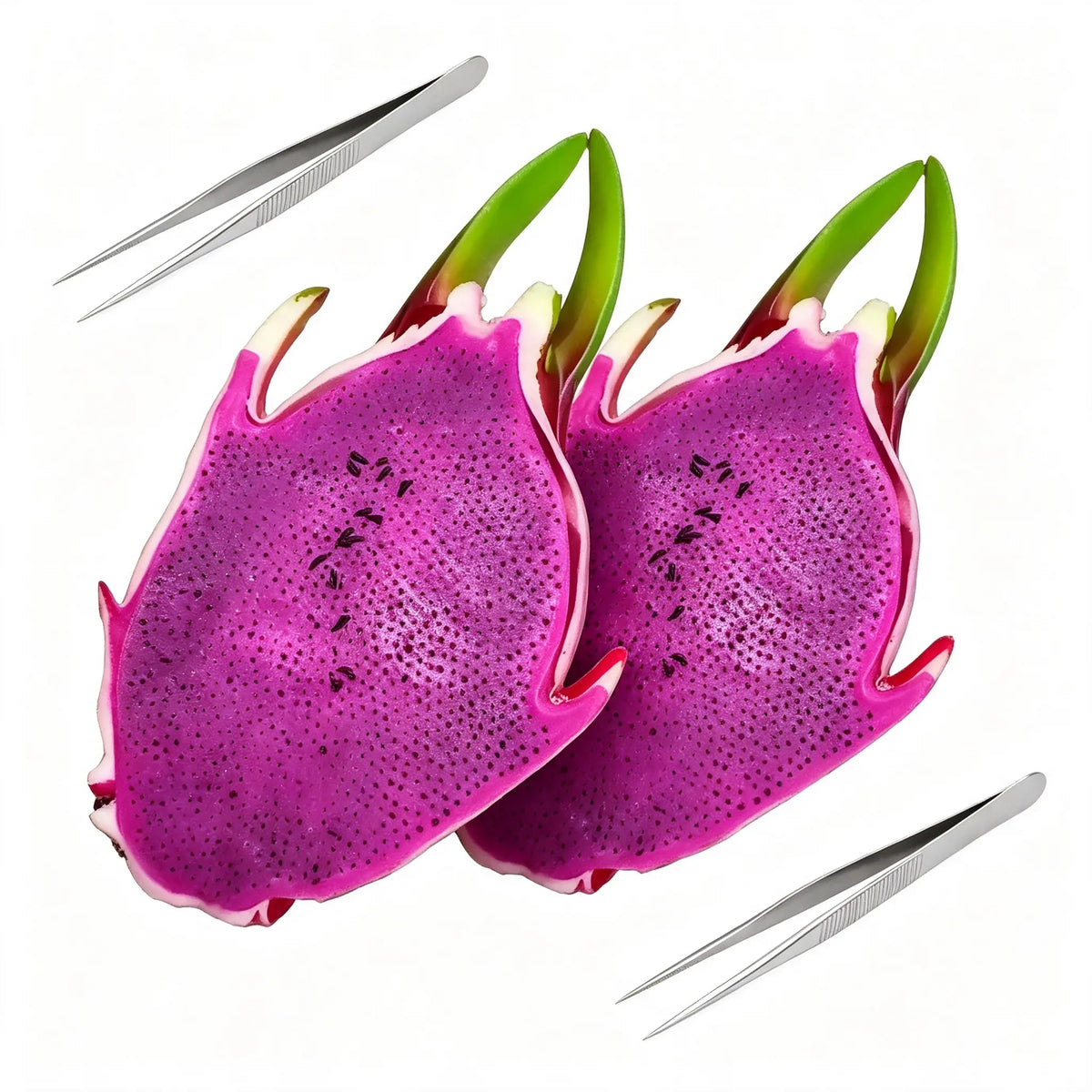 Dragon Fruit Seed Picking Fidget Toy with Metal Tweezers [YQT:ULO-260922-002:ca216dfbcced4156]