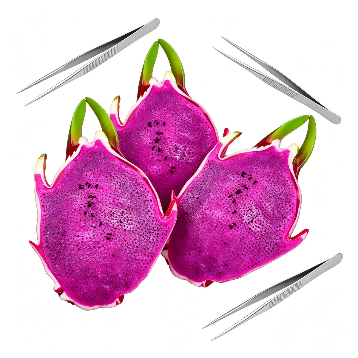 Dragon Fruit Seed Picking Fidget Toy with Metal Tweezers [YQT:ULO-260922-002:ccc17ae6610c587b]