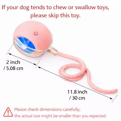 Mizusu Interactive Cat & Dog Teaser Toy with Two Additional Tails, Kitten Rolling Ball Toy, Pet Supplies, Dog & Cat Accessories Cute dog toys